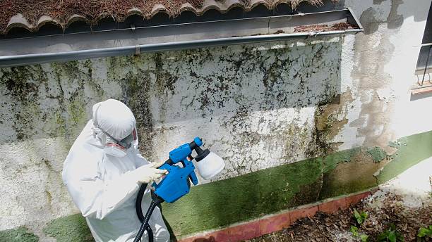 Trusted Bathroom Mold Removal service in Dry Run, PA - Cheap Mold Removal